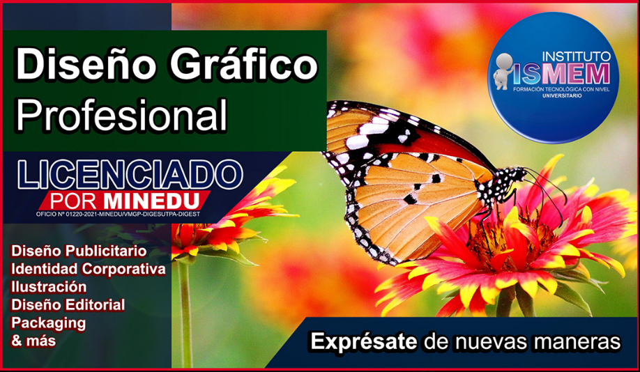 Diseño grafico profesional